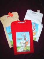 9Iceberg History Tees ShirtsSM.jpg (38874 bytes)